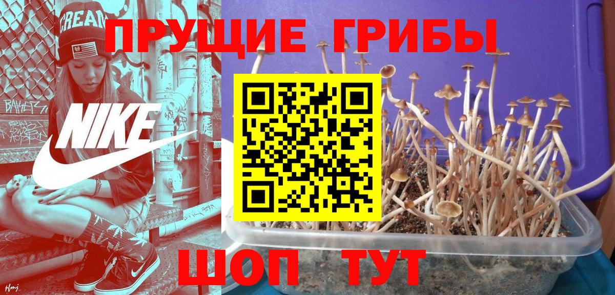 Галлюциногенные грибы MAGIC MUSHROOMS  Вход с VPN  Кушва 