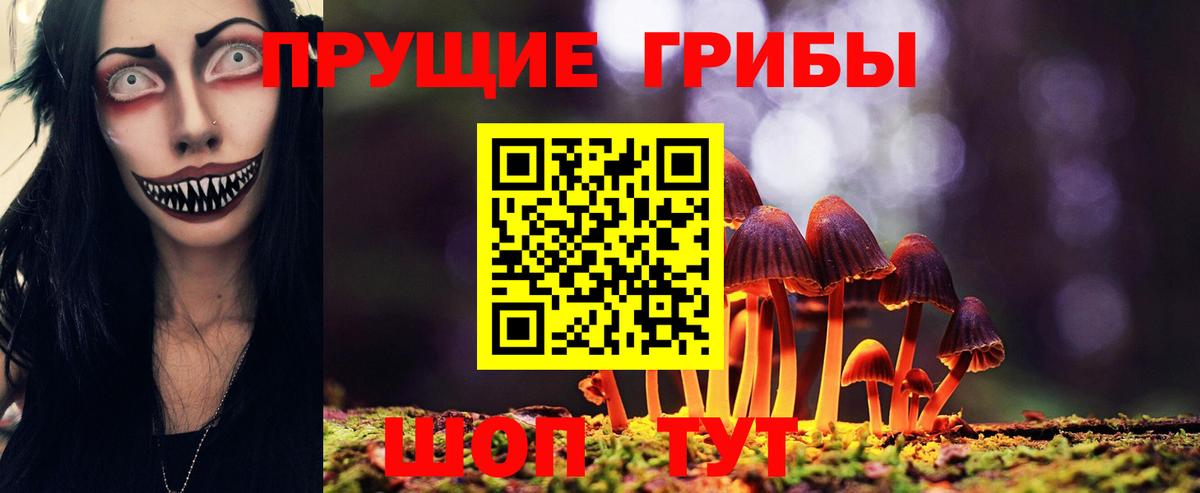 Галлюциногенные грибы Psilocybine cubensis Кушва